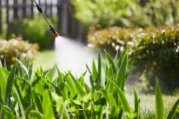 24/7 Emergency Wasp Removal experts in Salina, KS