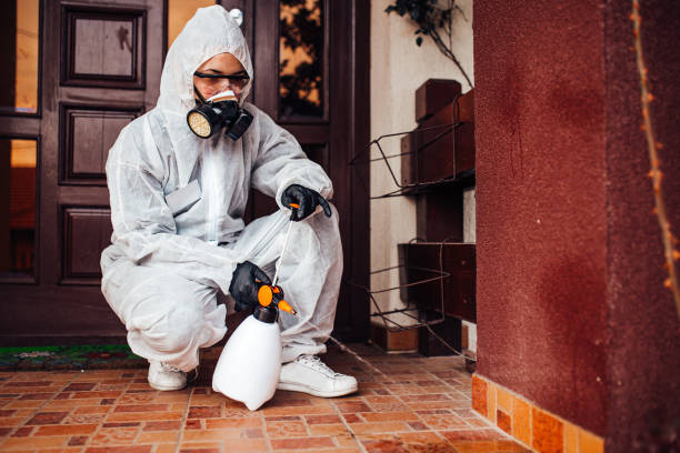 Reliable Wasp Removal contractor in Salina, KS by Show Me Pest Control